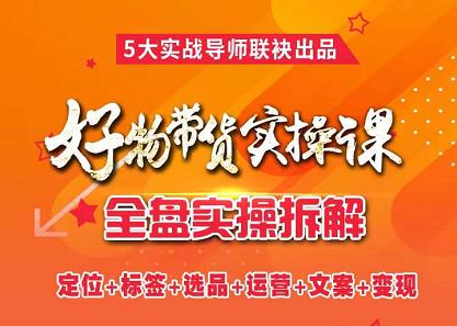 抖音好物带货实操课，全盘拆解抖音好物带货号全套流程打法-南风轻创