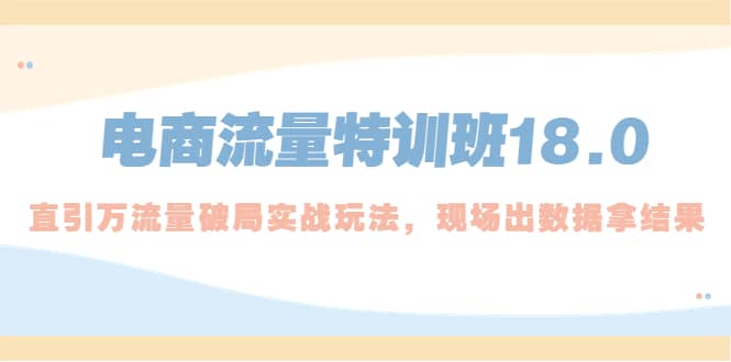 电商流量特训班18.0，直引万流量破局实操玩法，现场出数据拿结果-南风轻创