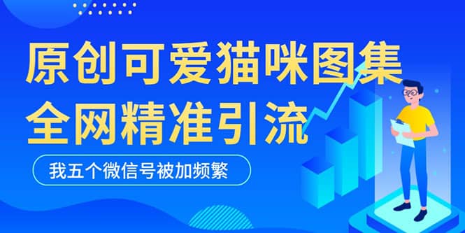 黑科技纯原创可爱猫咪图片，全网精准引流，实操5个VX号被加频繁-南风轻创