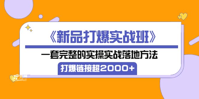 《新品打爆实战班》一套完整的实操实战落地方法，打爆链接超2000+（38节课)-南风轻创