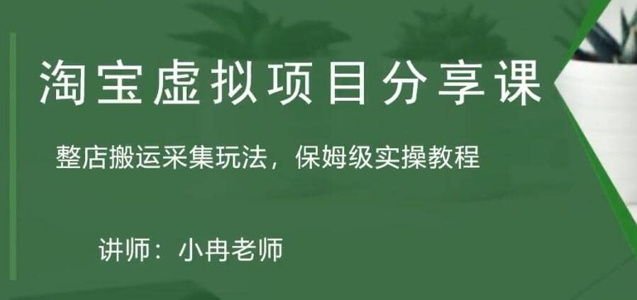 淘宝虚拟整店搬运采集玩法分享课：整店搬运采集玩法，保姆级实操教程-南风轻创