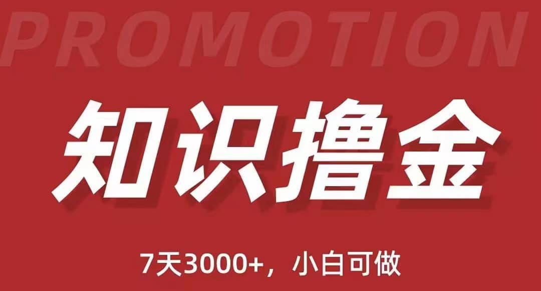 抖音知识撸金项目：执行力强当天见收益(教程+资料)-南风轻创