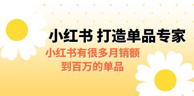 某公众号付费文章《小红书 打造单品专家》小红书有很多月销额到百万的单品-南风轻创
