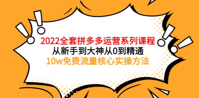 2022全套拼多多运营课程，从新手到大神从0到精通，10w免费流量核心实操方法-南风轻创