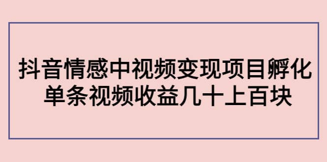 抖音情感中视频变现项目孵化-南风轻创
