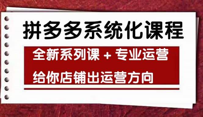 车神陪跑，拼多多系统化课程，全新系列课+专业运营给你店铺出运营方向-南风轻创