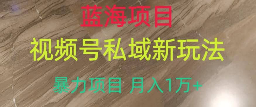 蓝海项目，视频号私域新玩法，暴力项目月入1万+【揭秘】-南风轻创