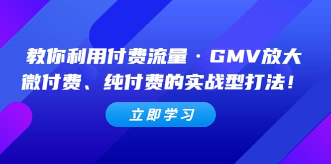 教你利用付费流量·GMV放大，微付费、纯付费的实战型打法-南风轻创