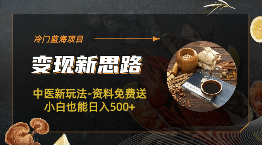 冷门蓝海项目-中医新玩法-冷门蓝海项目-中医新玩法-资料免费送小白也能日入500+500+-南风轻创