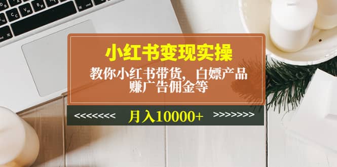 小红书变现实操：教你小红书带货，白嫖产品，赚广告佣金等-南风轻创