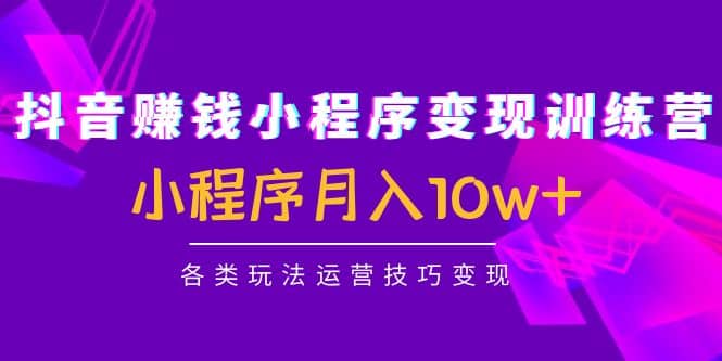 抖音小程序变现训练营：小程序各类玩法运营技巧变现-南风轻创