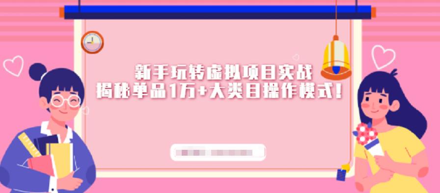 新手玩转虚拟项目实战，揭秘单品1万+大类目操作模式【视频课程】-南风轻创