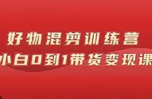 万三好物混剪训练营：小白0到1带货变现课-南风轻创