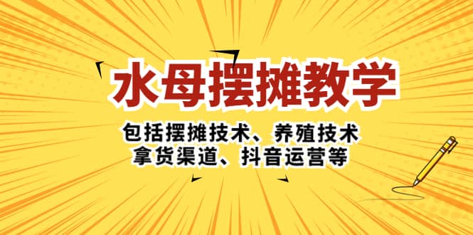 水母·摆摊教学，包括摆摊技术、养殖技术、拿货渠道、抖音运营等-南风轻创