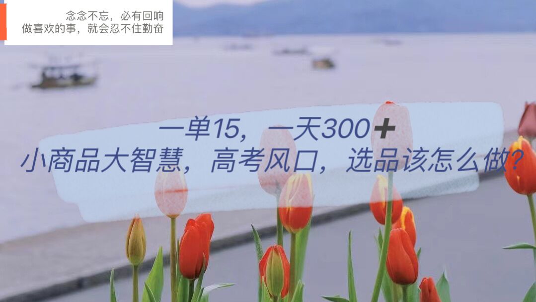 一单15，一天300+，小商品大智慧，高考风口，选品该怎么布局-南风轻创