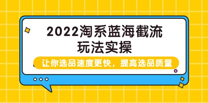 2022淘系蓝海截流玩法实操：让你选品速度更快，提高选品质量（价值599）-南风轻创