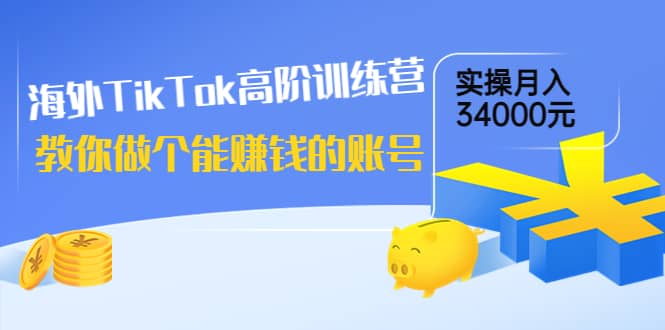 海外TikTok高阶训练营：教你做个能赚钱的账号，实操月入34000元！-南风轻创