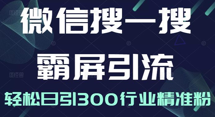 微信搜一搜霸屏引流课，打造被动精准引流系统，轻松日引300行业精准粉【无水印】-南风轻创