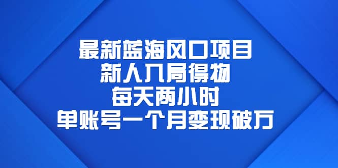 最新蓝海风口项目，新人入局得物，每天两小时，单账号一个月变现破万-南风轻创