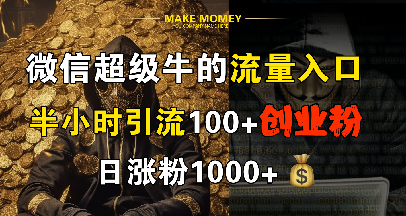 微信超级牛的流量入口，半小时引流100+创业粉，日涨粉1000+-南风轻创