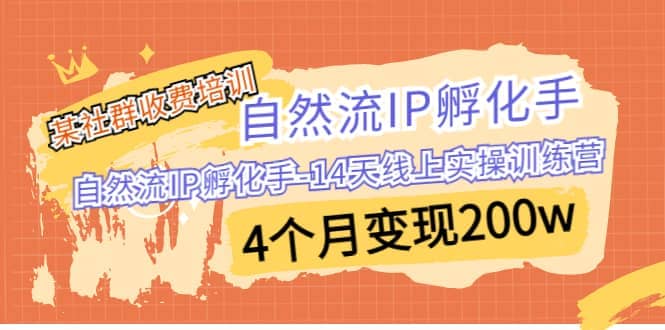 某社群收费培训：自然流IP 孵化手-14天线上实操训练营 4个月变现200w-南风轻创