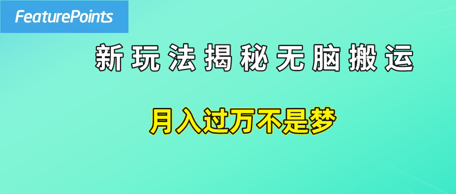 简单操作，每天50美元收入，搬运就是赚钱的秘诀！-南风轻创
