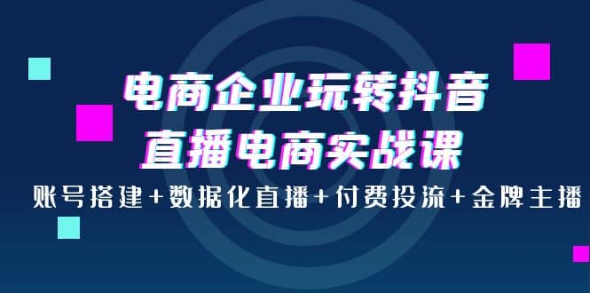 电商企业玩转抖音直播电商实战课：账号搭建+数据化直播+付费投流+金牌主播-南风轻创