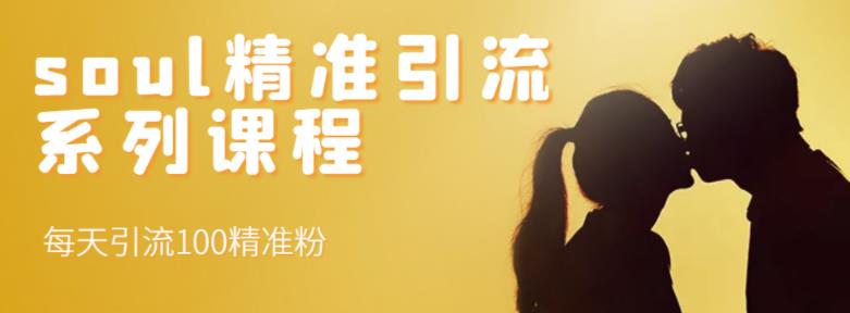 soul精准引流系列课程，每天引流100精准粉-南风轻创