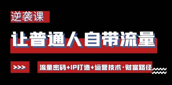 让普通人自带流量的逆袭课：流量密码+IP打造+运营技术·财富路径-南风轻创