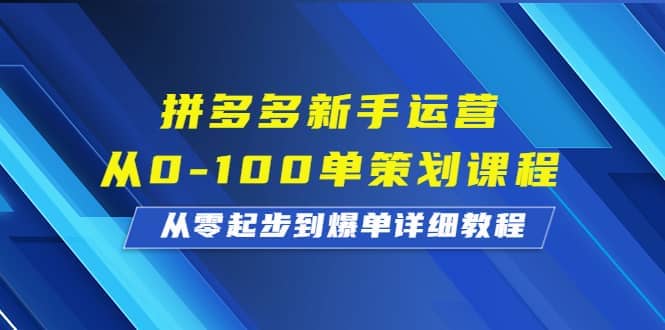 拼多多新手运营从0-100单策划课程，从零起步到爆单详细教程-南风轻创