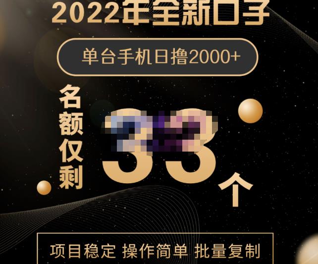 2022年全新口子，手机批量搬砖玩法，一部手机日撸2000+-南风轻创