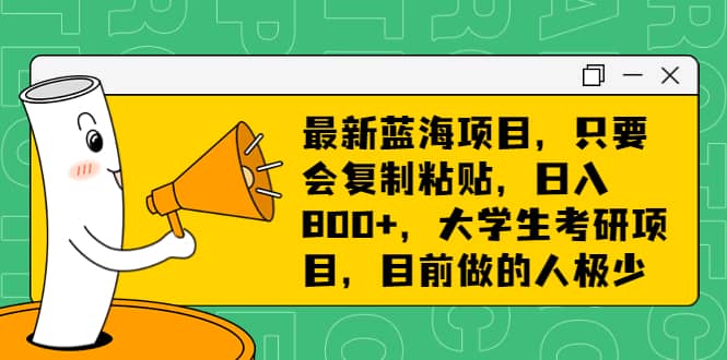 最新蓝海项目，只要会复制粘贴，日入800+，大学生考研项目，目前做的人极少-南风轻创