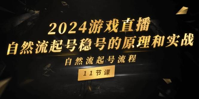 2024游戏直播-自然流起号稳号的原理和实战，自然流起号流程（11节）-南风轻创