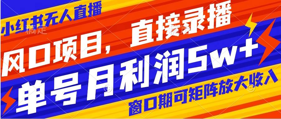 风口项目，小红书无人直播带货，直接录播，可矩阵，月入5w+-南风轻创