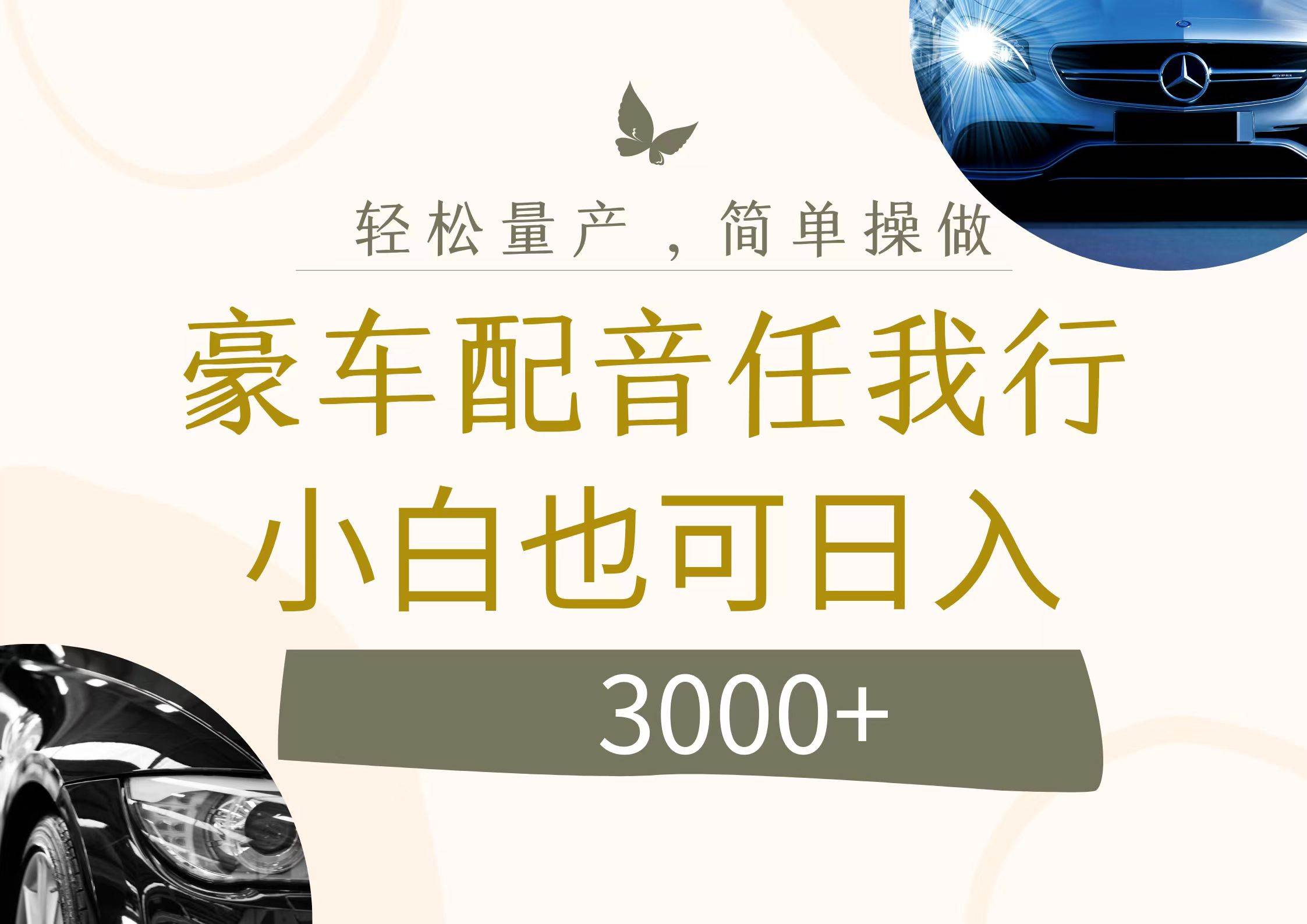 不为人知的暴力小项目，豪车配音，日入3000+-南风轻创