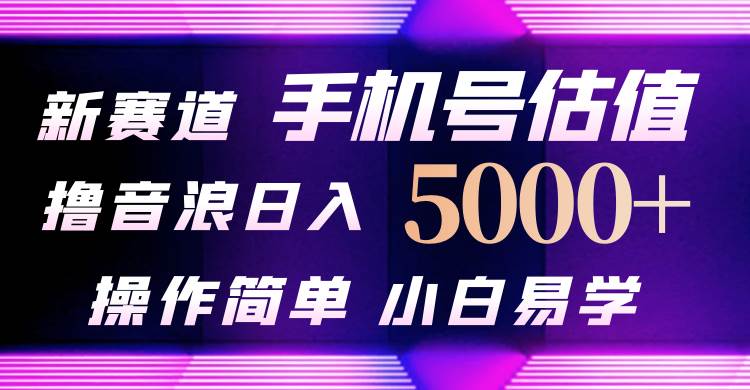 抖音不出境直播【手机号估值】最新撸音浪，日入5000+，简单易学，适合…-南风轻创