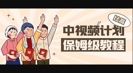 中视频项目，目前靠这个项目养了11人团队【视频课程】-南风轻创
