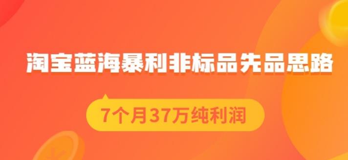 盗坤淘宝蓝海暴利非标品先品思路，7个月37万纯利润，压箱干货分享！【付费文章】-南风轻创
