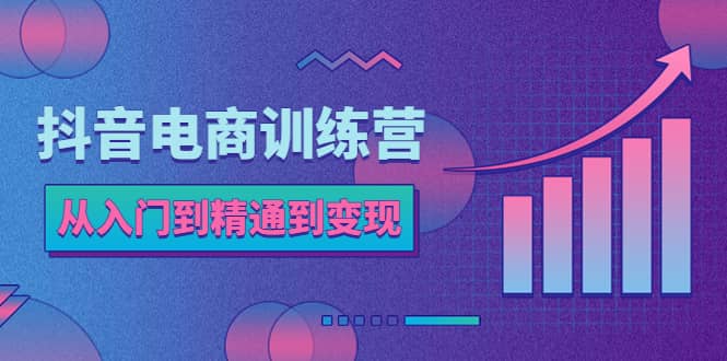 抖音电商训练营：从入门到精通，从账号定位到流量变现，抖店运营实操-南风轻创