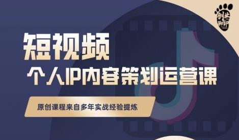 抖音短视频个人ip内容策划实操课，真正做到普通人也能实行落地-南风轻创