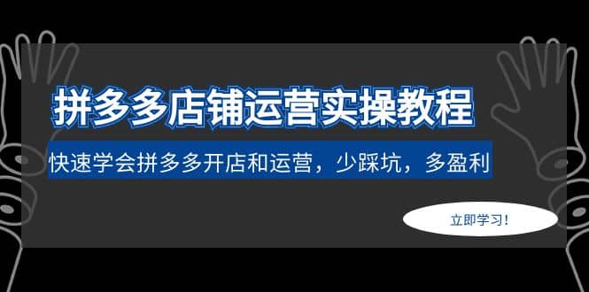 拼多多店铺运营实操教程：快速学会拼多多开店和运营，少踩坑，多盈利-南风轻创