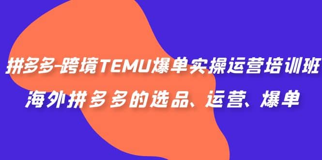 拼多多-跨境TEMU爆单实操运营培训班，海外拼多多的选品、运营、爆单-南风轻创