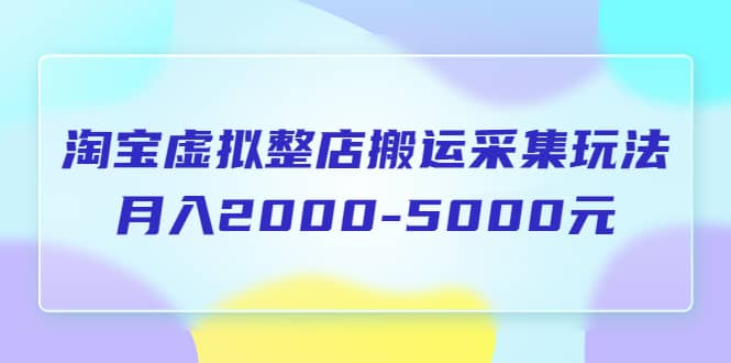 淘宝虚拟整店搬运采集玩法分享课：月入2000-5000元（5节课）-南风轻创
