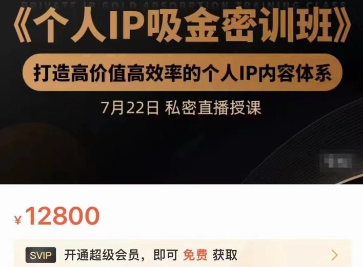 个人IP吸金密训班，打造高价值高效率的个人IP内容体系（价值12800元）-南风轻创