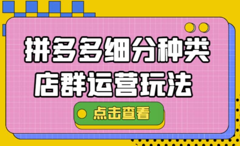 拼多多细分种类店群运营玩法3.0，11月最新玩法，小白也可以操作-南风轻创