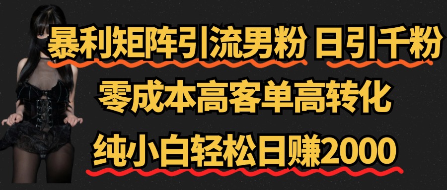 暴利矩阵引流男粉（日引千粉），零成本高客单高转化，纯小白轻松日赚2000+-南风轻创