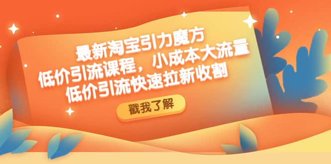 最新淘宝引力魔方低价引流实操：小成本大流量-南风轻创