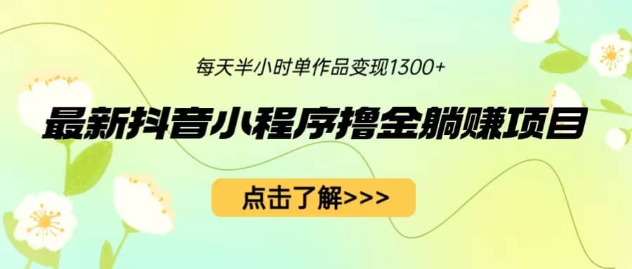 最新抖音小程序撸金躺赚项目，一部手机每天半小时，单个作品变现1300+-南风轻创