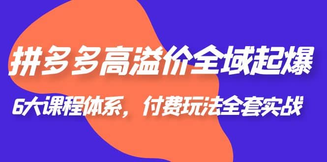 拼多多-高溢价 全域 起爆，6大课程体系，付费玩法全套实战-南风轻创