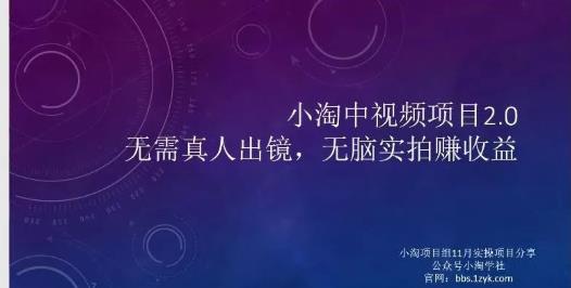 小淘项目组网赚永久会员，绝对是具有实操价值的，适合有项目做需要流程【持续更新】-南风轻创